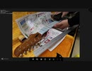 【ギター】コスパ重視、素人のフレットすり合わせ作業 part2