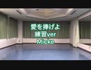 【踊ってみた】愛を捧げよ 練習ver【うたの☆プリンスさまっ♪】