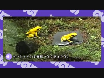 【ポケモン剣盾】水族館パでワイワイバトル：３【ダブルランク・シーズン２】