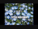 仲直り   #オリジナル曲 #ボカロ #初音ミク #新曲