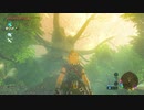 【実況】剣の試練中位に挑みました【ゼルダの伝説BotW】