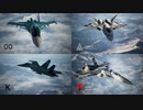 Ace Combat 7 Multiplayer581 バトルロイヤル Su-34 + HCAA