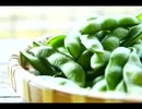 続・好きな音楽テーマ別うｐ・E曲編