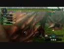 MHP2ndG「狩人同盟」横〇ノック知事を屠ってみた。