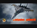 Ace Combat 7 Extra162 バトルロイヤル みやでん氏とのタイマン総集編