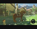 ゼルダの伝説botw　ハテノ村尋訪記