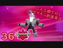 【シールド】二人三脚で行くポケモン剣盾実況プレイ【36】