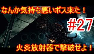 気持ち悪いボスとガチンコ勝負！弾が尽きても火炎放射器で粘り勝て！【バイオハザード5】#27