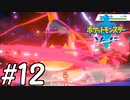 【実況】一時の感情でルールを課していくポケモン(剣)【ポケモン剣盾】#12