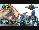 MHP2G勢がMHWIやってみた　その49