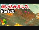 【実況】今年で定年を迎える父をハイラルの大地に放り込むPart70【ゼルダの伝説BotW】