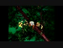 【実況】最恐？ノベルホラーゲーム実況プレイ【夜想曲】 part8