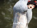 ゆっくりと行く神戸どうぶつ王国