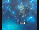 縛り無しでライネルをシバいてみた