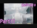 ポケモン白はプラズマ団縛りでやっていくPart11