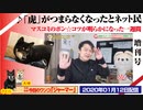 【確認】ネット「虎」はつまらなくなったのか。マスコミのポン☆コツ増刊号｜みやわきチャンネル（仮）#693Restart552