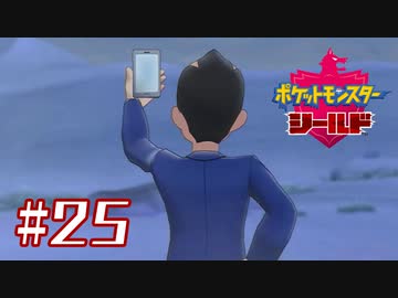 後ろから見た時の剃りこみ具合やばいよ？【ポケットモンスターシールド】＃２５