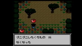 サバイバルキッズ7