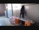 こそ泥あずき 2020-01-13