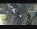 【人喰いの大鷲トリコ】鶏喰いのわしが実況プレイ  Part12