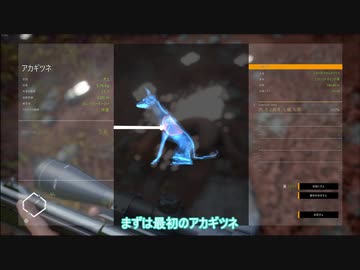 【the Hunter:CotW】突撃！お前が晩ごはん　２匹目【琴葉姉妹実況】