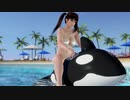【DOAX3F】 グラビアパラダイス レイファン編