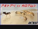目覚めろ、その魂！アギトアリvsガロアムシ。