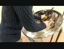インフェルノ【演奏してみた：スティールパン】炎炎ノ消防隊OP_Mrs. GREEN APPLE
