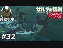 【実況】ウルリンといっしょ＃32｢大人と子供のサイズ差｣【BotW】