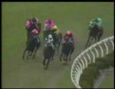 【競馬】1991/高松宮杯(GII)　ダイタクヘリオス