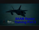 Ace Combat 7 Multiplayer584 バトルロイヤル F-22A + 8AAM
