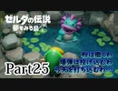 求むー「ゼル伝」のプロー【ゼルダの伝説　夢をみる島】 part25