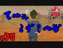【初見が目指すは怪獣軍団】ポケットモンスターソード・シールドpart30【24歳フリーター】