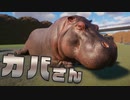 【Planet Zoo】カバさんを飼育してみた！実況プレイ#26