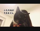 【ねことドイチ】エッティンガーピルスとエクスポートと酔っ払い