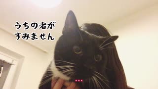 【ねことドイチ】エッティンガーピルスとエクスポートと酔っ払い