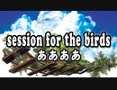 session for the birds - ああああ