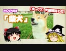 【ゆっくり犬種解説】その1「柴犬」