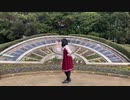 【みゅう狐】 愛言葉 【踊ってみた】【祝・16歳】