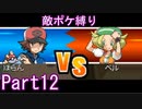 ポケモン白はプラズマ団縛りでやっていくPart12