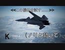 Ace Combat 7 Multiplayer585 バトルロイヤル X-02S + 4AAM