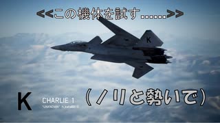 Ace Combat 7 Multiplayer585 バトルロイヤル X-02S + 4AAM