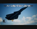 Ace Combat 7 Multiplayer586 バトルロイヤル X-02S + 4AAM