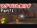 【実況】今年で定年を迎える父をハイラルの大地に放り込むPart71【ゼルダの伝説BotW】