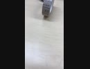 マスキングテープの遊び｜完全な暇つぶし