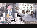 1月14日めざちわTV「ついつい通ってしまう場所」