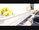 ✽『おいでよどうぶつの森のテーマ』をピアノと鍵盤ハーモニカで弾いてみた✽