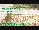 2000匹のゴキブリの楽園にアリを侵入させたら、泥沼の戦争になった。