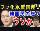 韓国民の反応「フッ化水素国産化、嘘だったのか？企業も不買参加しろ」→造船産業も技術的な断絶危機で本音が…【海外の反応】