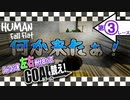 【4人実況】シンクロ率120%でゴールへ駆けろ！➡︎第3レース[Human Fall Flat]